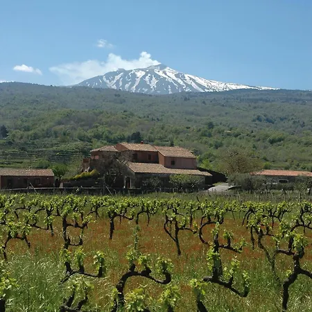 Valle Galfina Лингуаглосса
